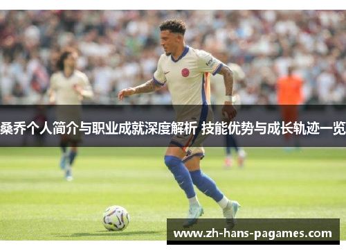 桑乔个人简介与职业成就深度解析 技能优势与成长轨迹一览