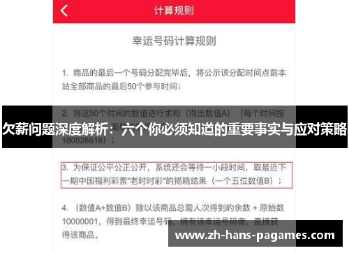 欠薪问题深度解析：六个你必须知道的重要事实与应对策略