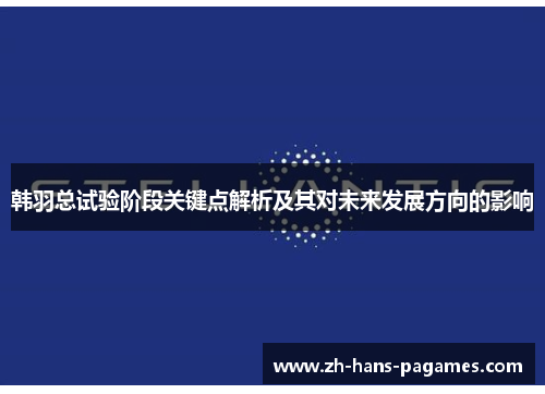 韩羽总试验阶段关键点解析及其对未来发展方向的影响